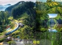 18款禁大象传媒-探索成人内容平台的灰色地带，18款禁大象传媒的背后