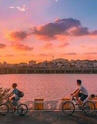 97精品人妻一区二区三区香蕉-97精品人妻的独特魅力，一区、二区、三区的和谐共舞