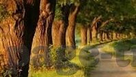 果冻传媒下载地址-探索果冻传媒的魅力，从下载地址到创意内容的无限可能