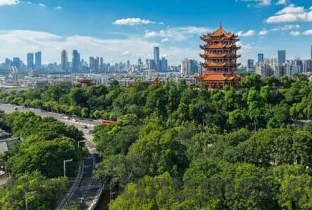 麻豆短视频网站入口-一探麻豆短视频网站入口的魅力与影响