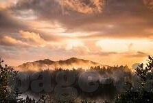 日本一区二区不卡-探索日本动漫文化的多元魅力，一区二区的独特视角
