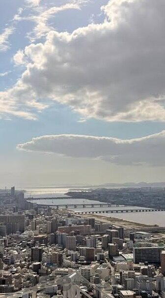 糖心视频app下载网页-揭秘糖心视频app下载——如何安全获取与合法使用的深度指南