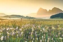 亚洲av日韩av自拍偷拍-窥探亚洲AV日韩自拍与偷拍的隐秘世界
